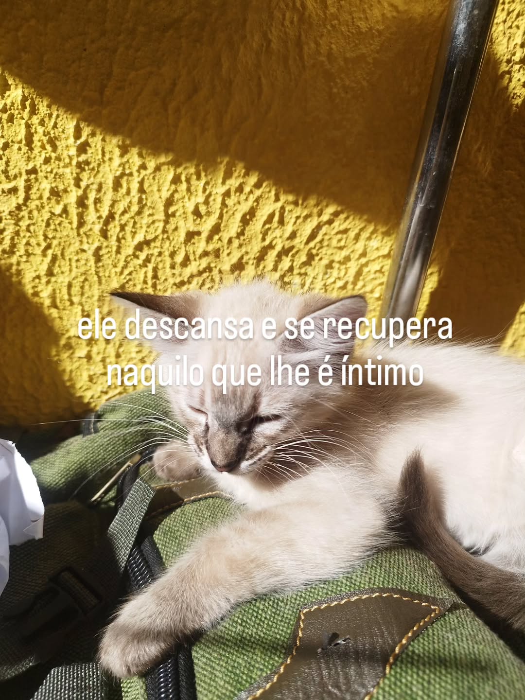 Liberação Miofascial